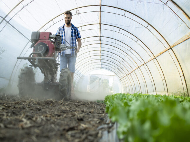 A Agricultura Familiar: Um Exame Profundo e Abrangente do Sustento Rural