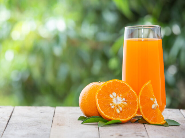 Brasil é o Maior Produtor Mundial de Suco de Laranja e seu Impacto na Indústria