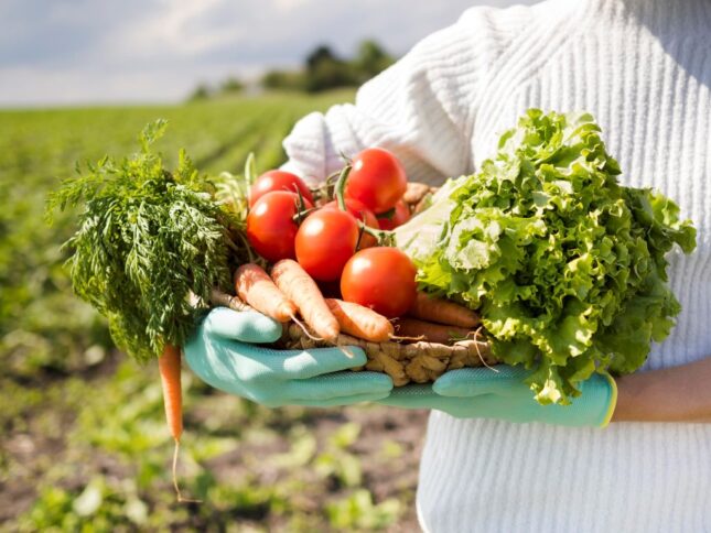 Certificadoras de Produtos Orgânicos