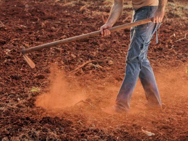 Clima, pragas e falta de mão de obra estão entre os entre os problemas mais citados pelos produtores rurais no Brasil