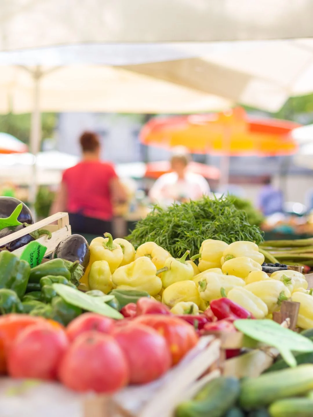 Feiras da Agricultura Familiar: Conheça a Importância e os Benefícios Para a Economia Local