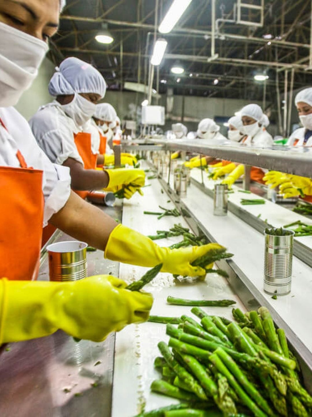 Pronaf Agroindústria