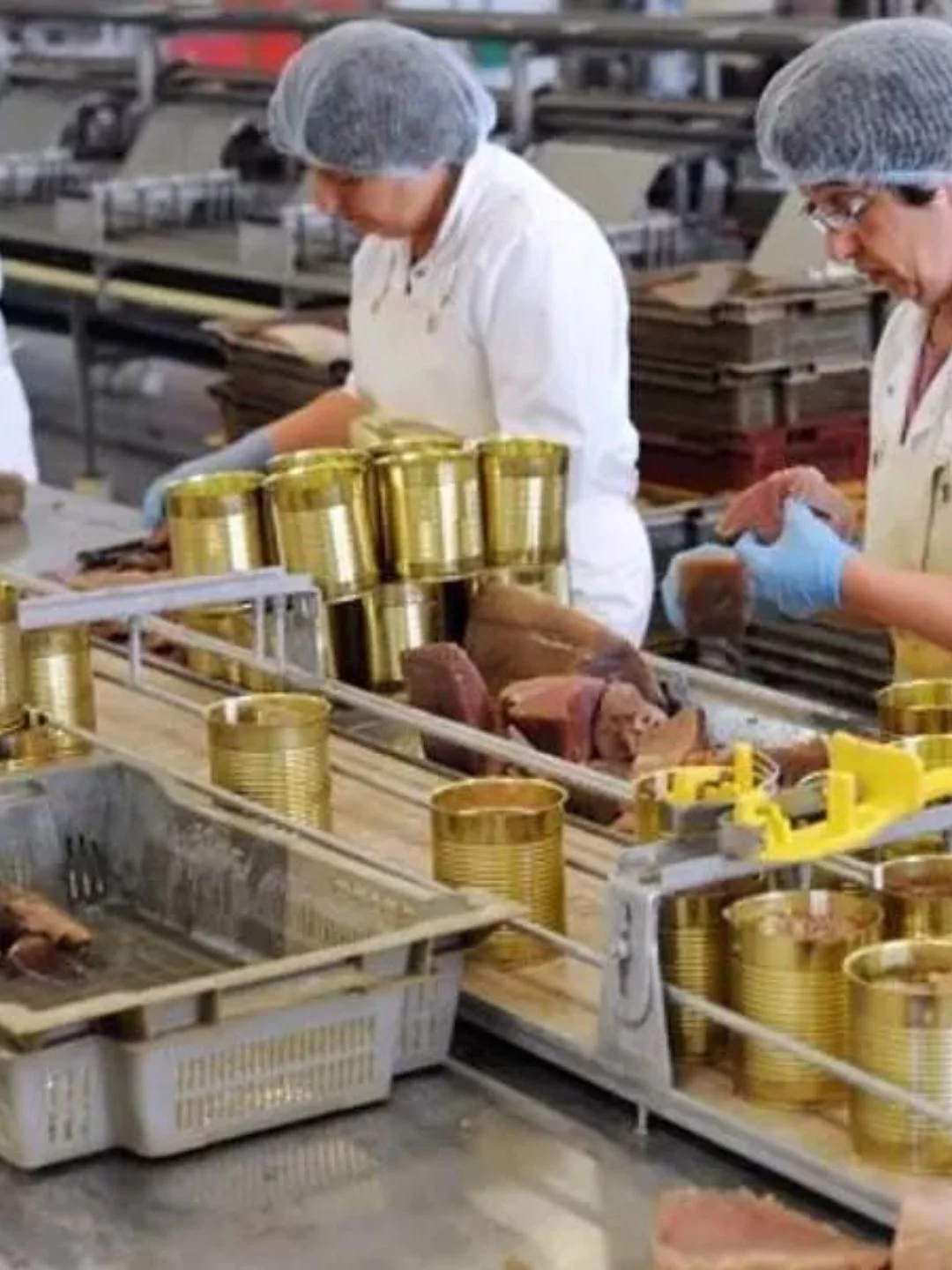 produção de conservas