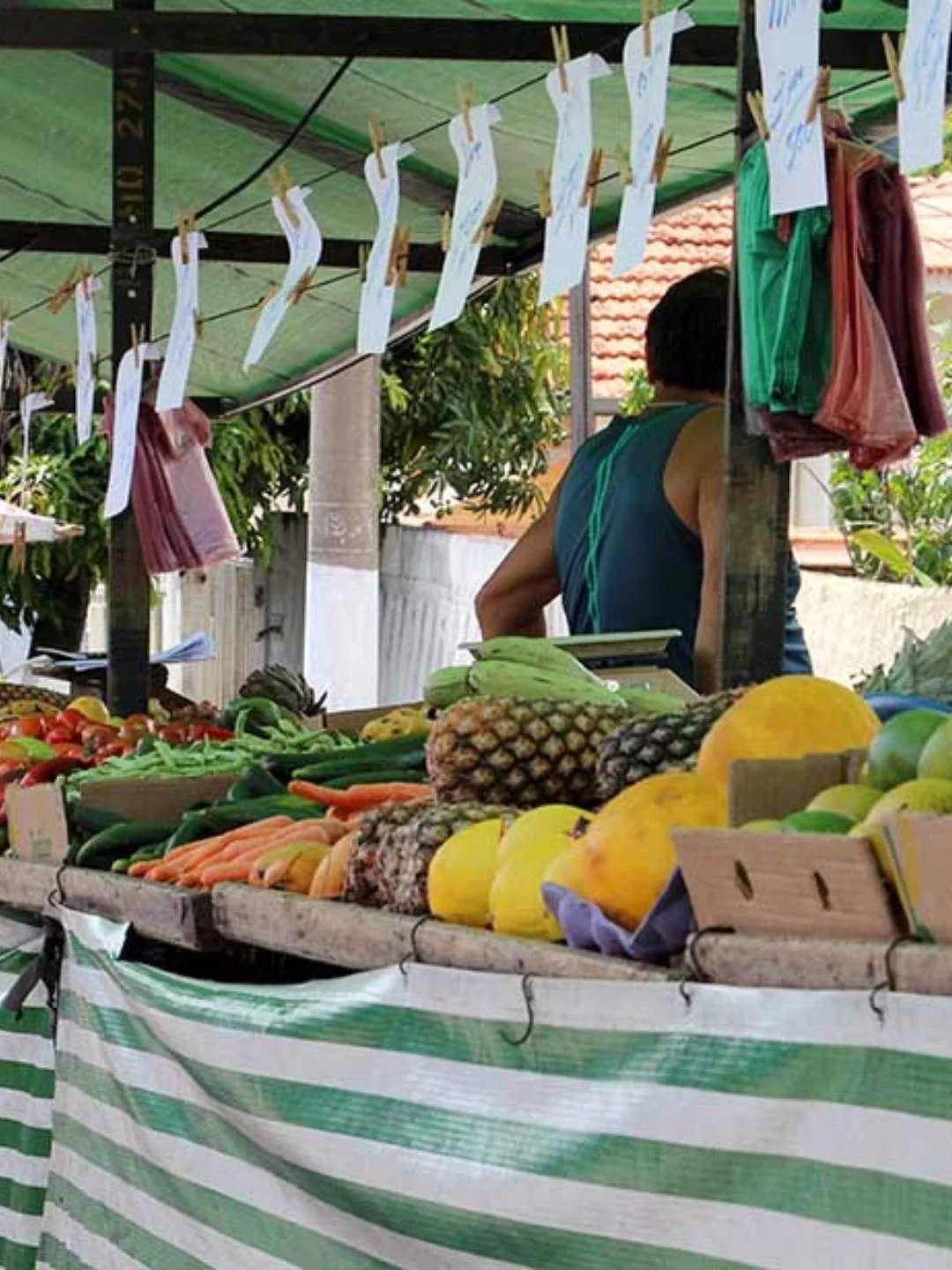 Feiras da Agricultura Familiar: Conheça a Importância e os Benefícios Para a Economia Local