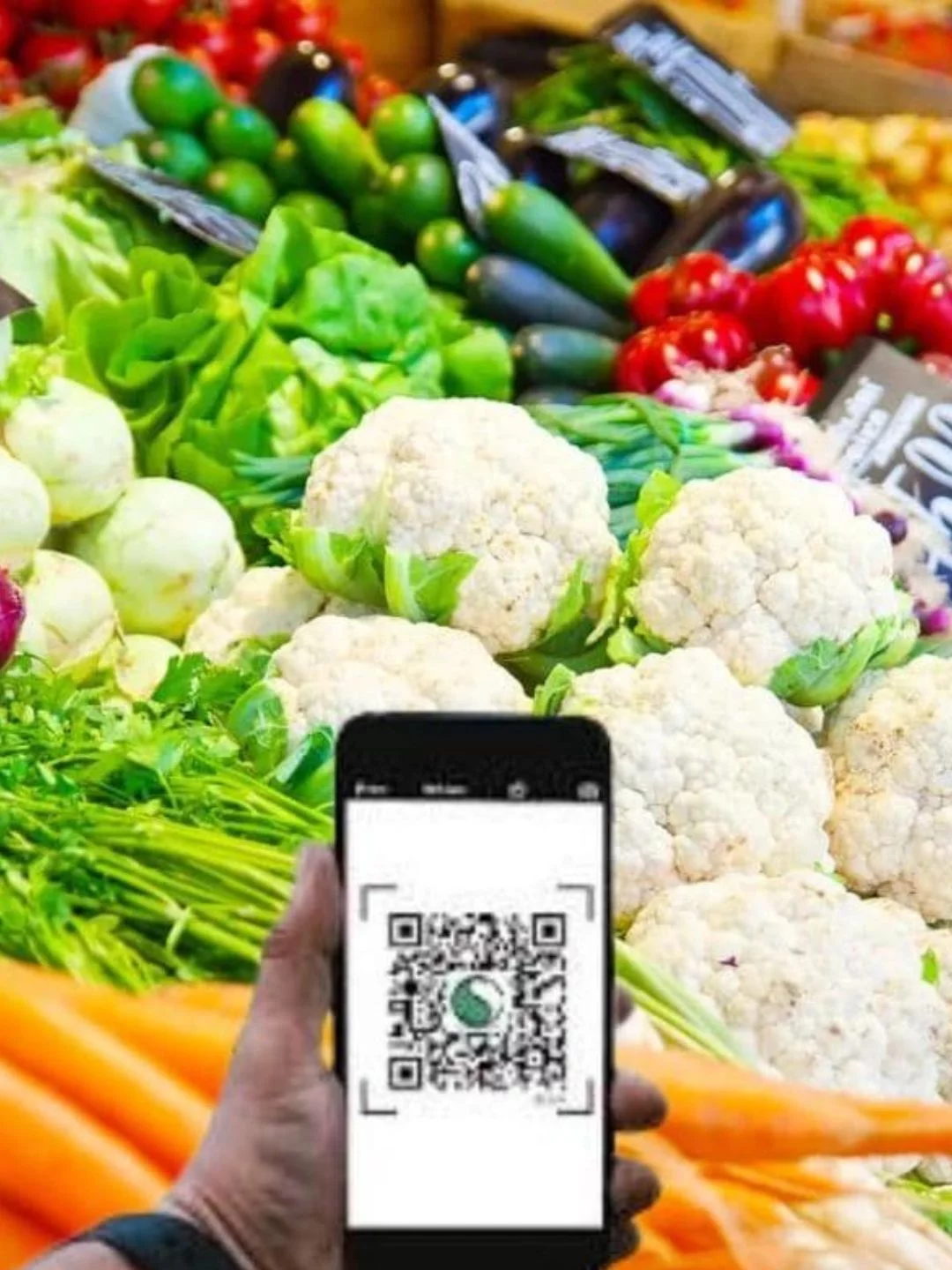 Rastreabilidade de produtos de origem vegetal