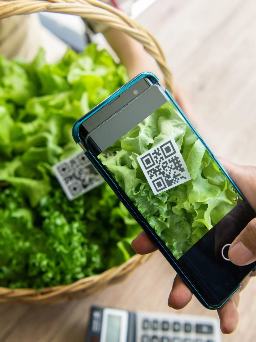 Rastreabilidade de Produtos de Origem Vegetal